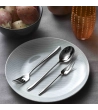 Posate da tavola Sky con manico in acciaio » Vendita Online » Pinti Inox