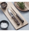 Coltelli da carne P WOOD - 6 Dimensione Regular » Vendita Online » Pinti Inox