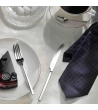 Posate da tavola Tie con manico in acciaio » Vendita Online » Pinti Inox