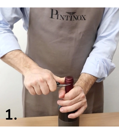 Professional corkscrews Online Sales » Pinti Inox