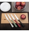 Coltello Stresa Colour manico colorato » Vendita Online » Pinti Inox